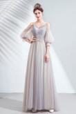 2020 New Style Spaghetti Gray Half Sleeves prom dresses TSJY-069