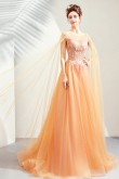 Glamorous A-line Prom Dresses Champagne Brush Train Evening Dress TSJY-160