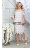 Pink Lace Mother Of the Bride Dresses, Plus Size Robes pour femmes mps-525-1