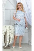 Plus Size Sky Blue Lace Mother Of the Bride Dresses ,שמלות נשים בגודל פלוס mps-525-3