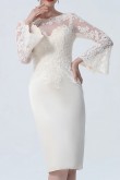 2021 Fashion Champagne Lace Long Sleeves Mother Of The Bride Dresses mps-432